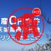 伊東市｜０円物件