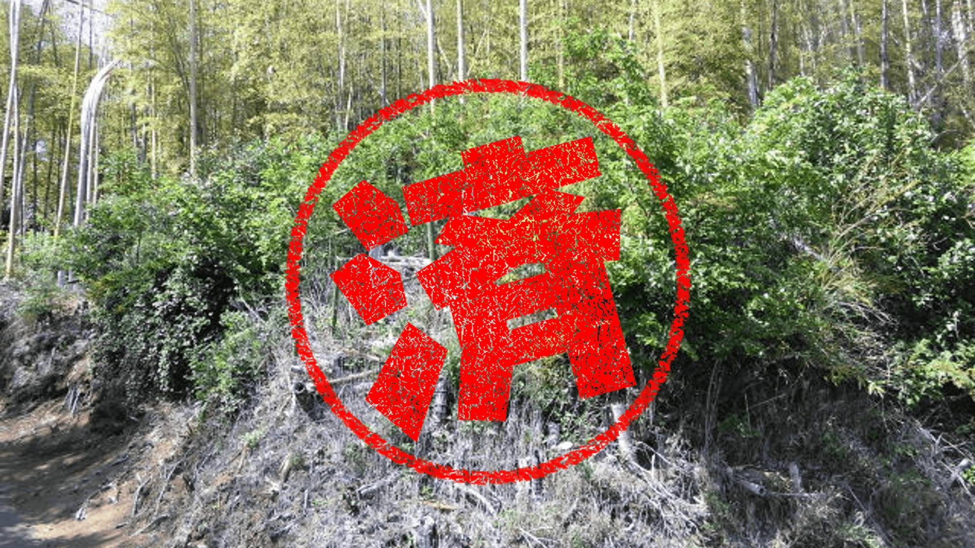 阿見町｜０円物件
