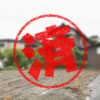 彦根市｜０円物件