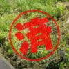 伊豆の国市｜０円物件