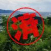 山北町｜０円物件