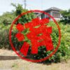横芝光町｜０円物件