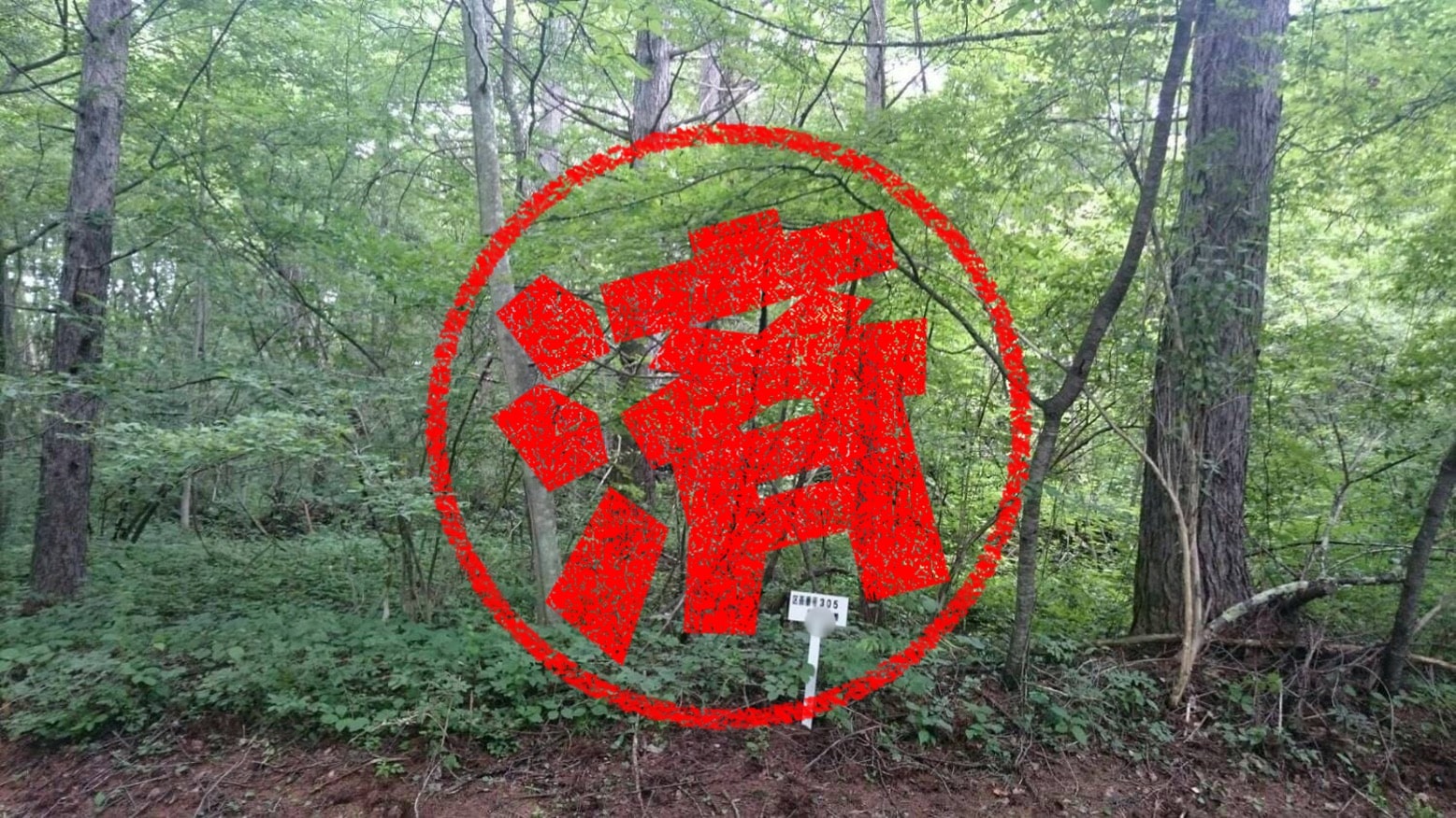 嬬恋村｜０円物件