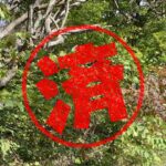 郡上市｜０円物件