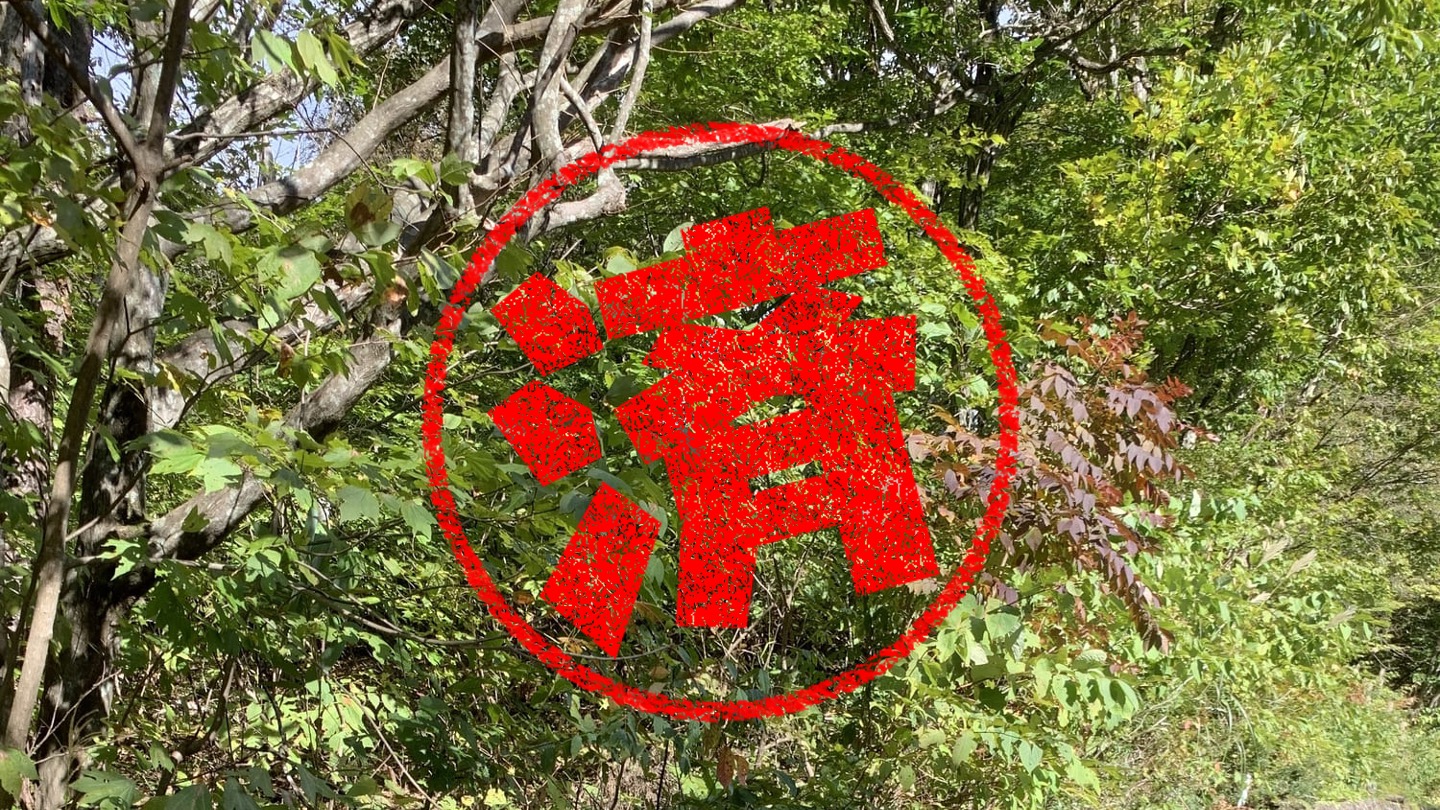 郡上市｜０円物件