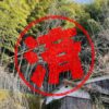 宇和島市｜０円物件
