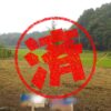山武市｜０円物件