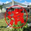 登別市｜０円物件