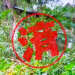 桐生市｜０円物件