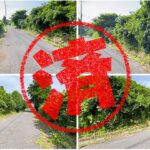 山武市｜０円物件